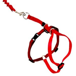 Pet Safe Cat Red Bungee Leash and Harness